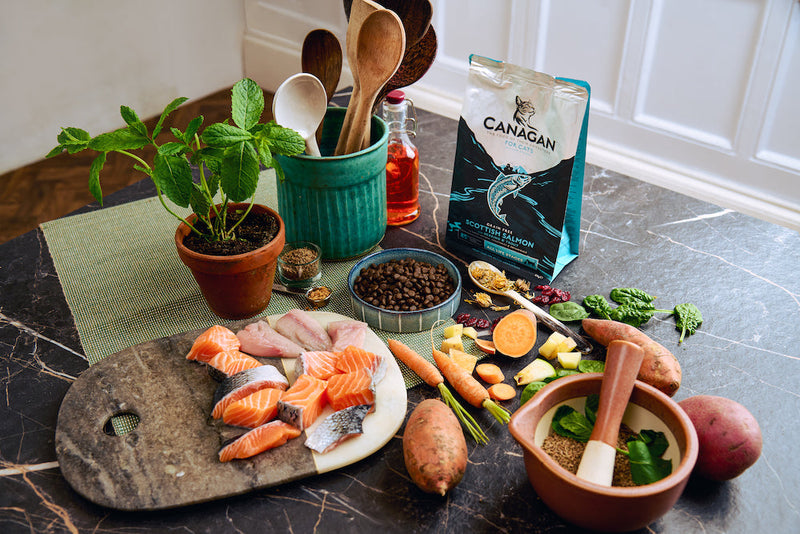 Dry Cat Food Supplier in Cranleigh