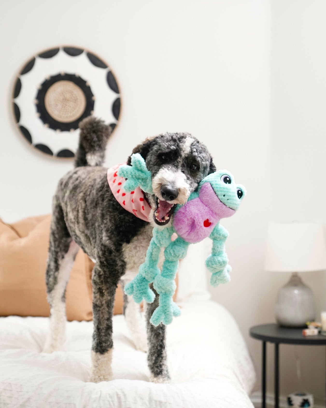 Dog toy supplier in Cranleigh