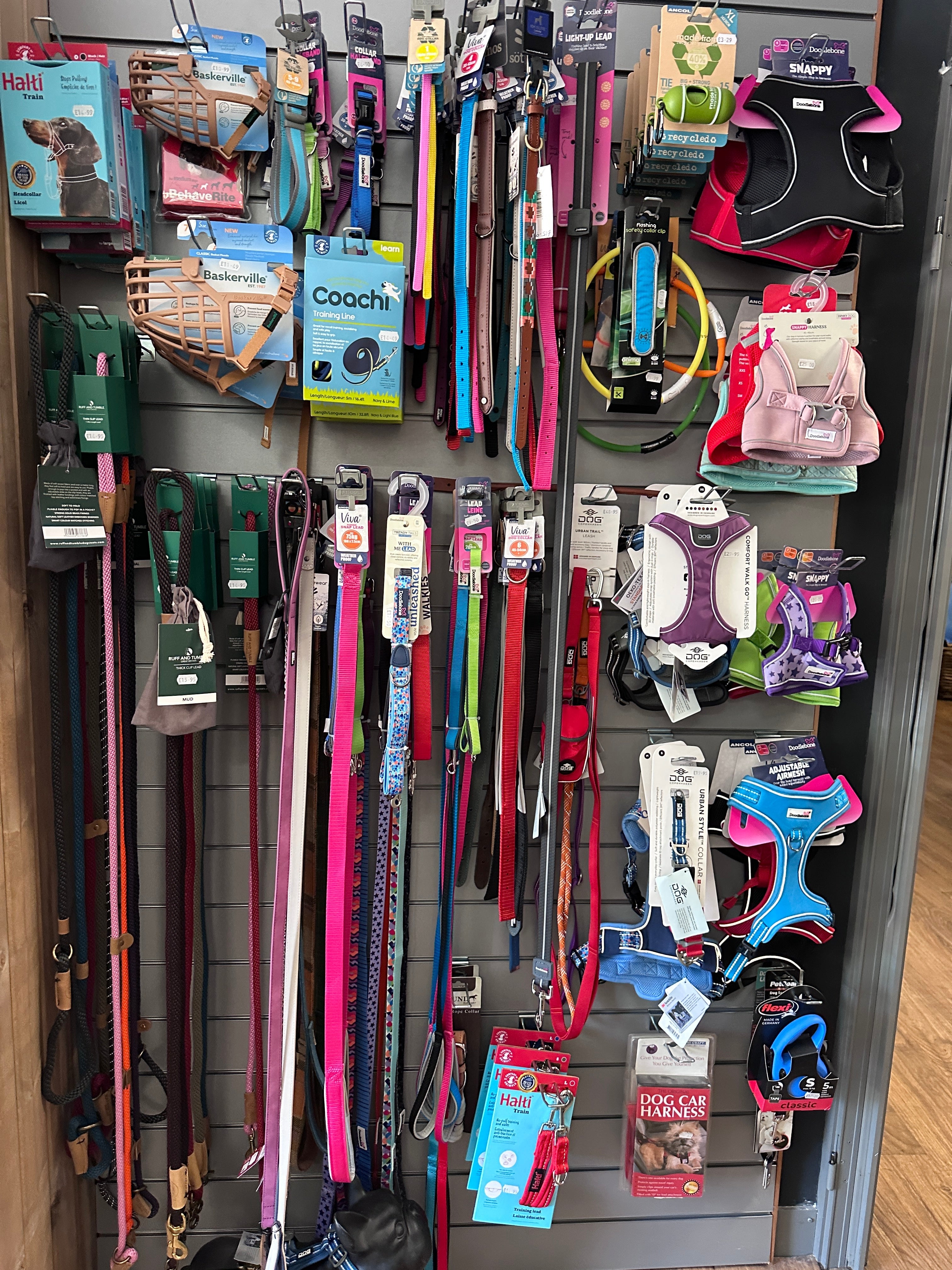 Dog Collars & Leads