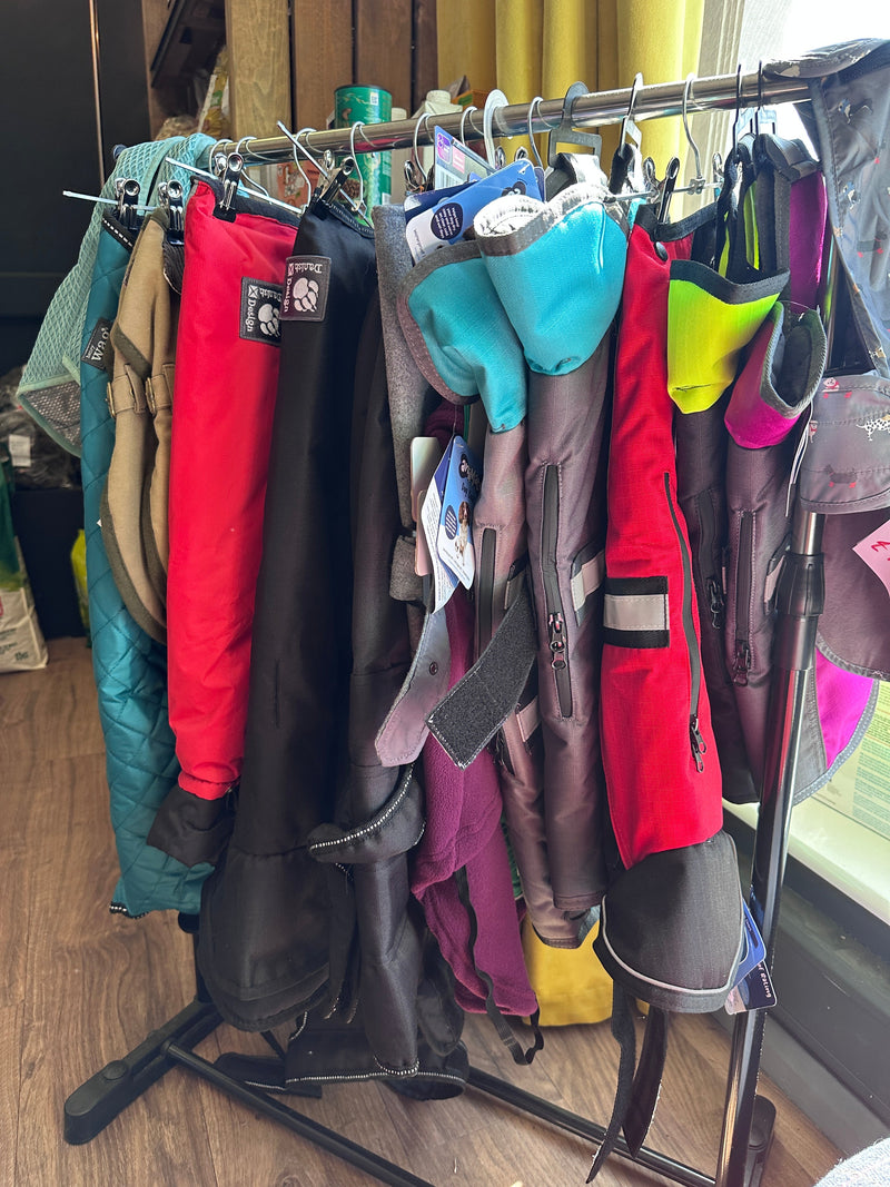 Dog Accessories in Cranleigh