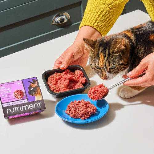 Frozen raw cat food supplier in Cranleigh