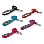 Ancol Padded Nylon Lead Blue 1mx12mm