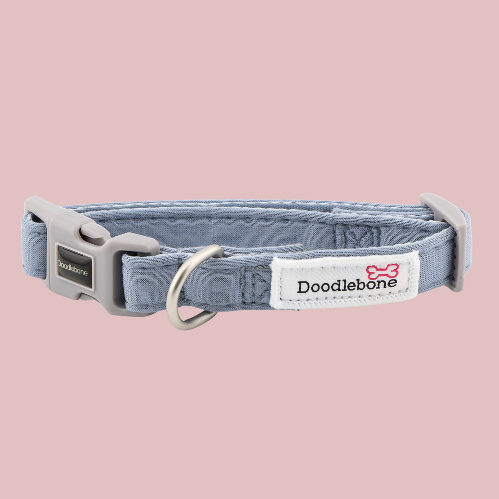 Doodlebone Dinky Dog Collar Size 1-2 Mint