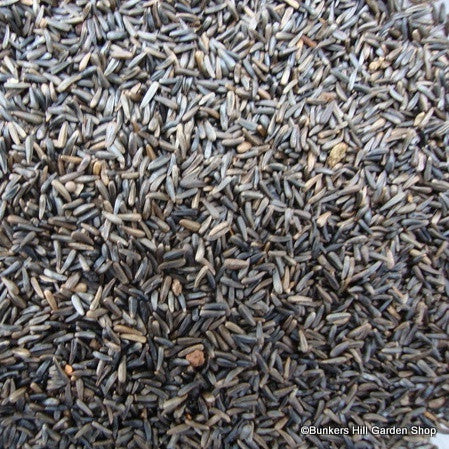 Niger Seed 2kg