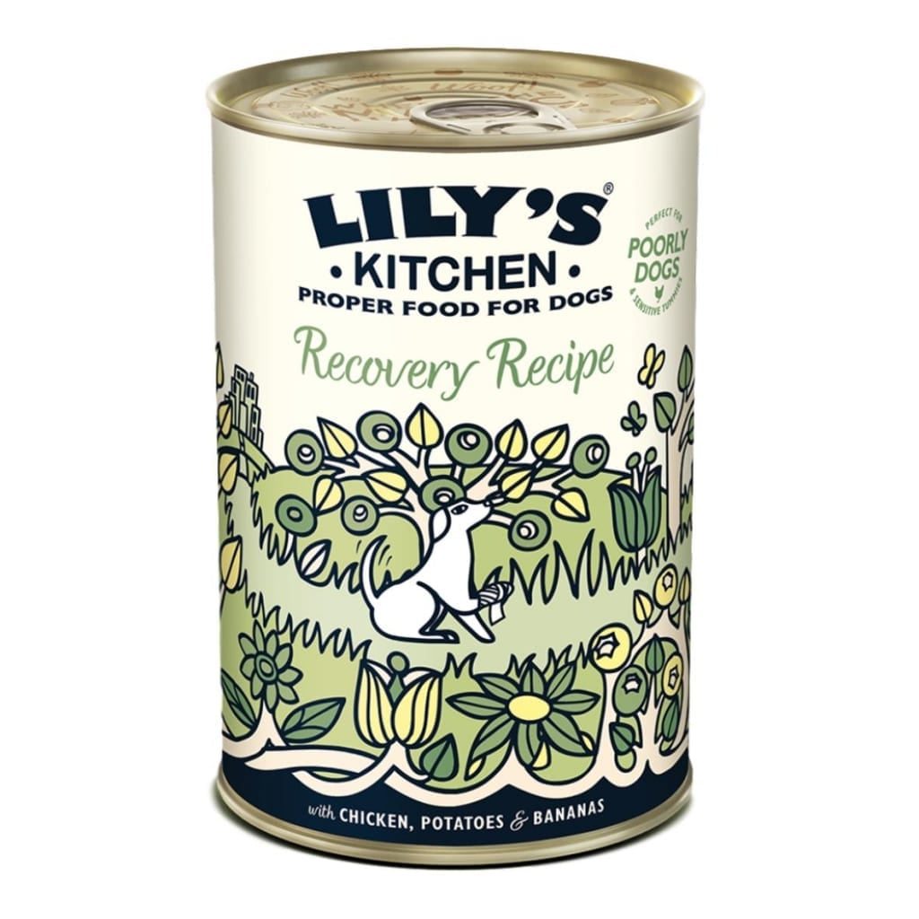 Lilys Kitchen Recovery Recipe 400g