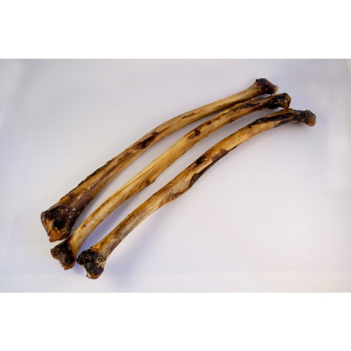 Ostrich Wing Bone DD