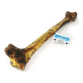 ostrich long bone