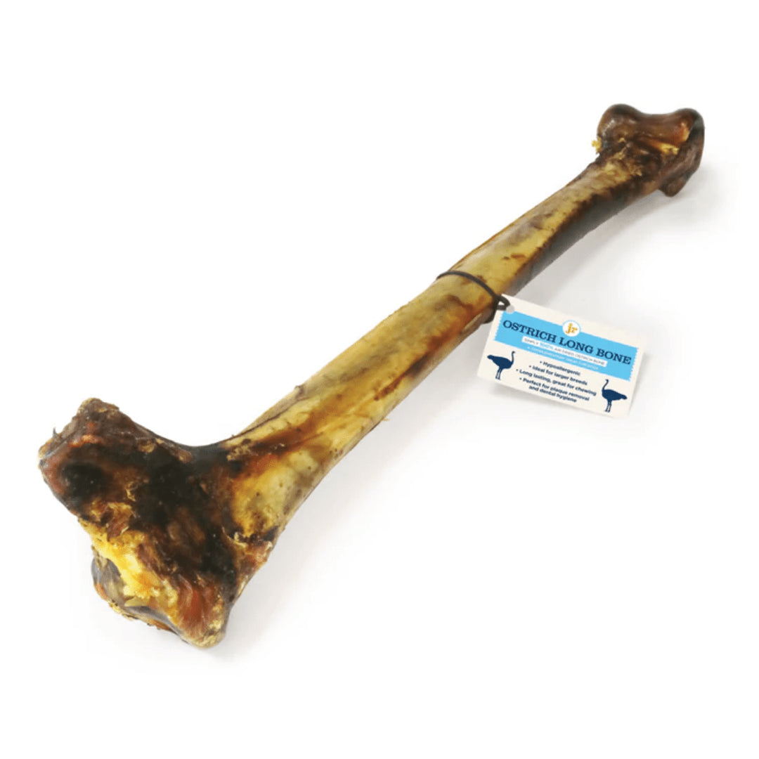 ostrich long bone