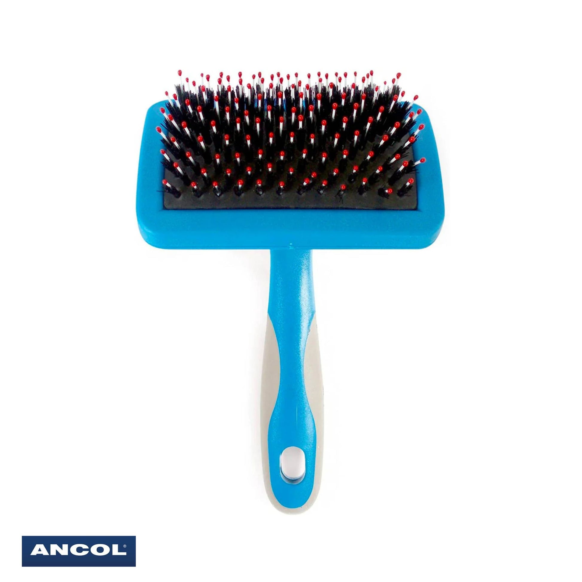 Ancol Ergo Hedgehog Slicker Small
