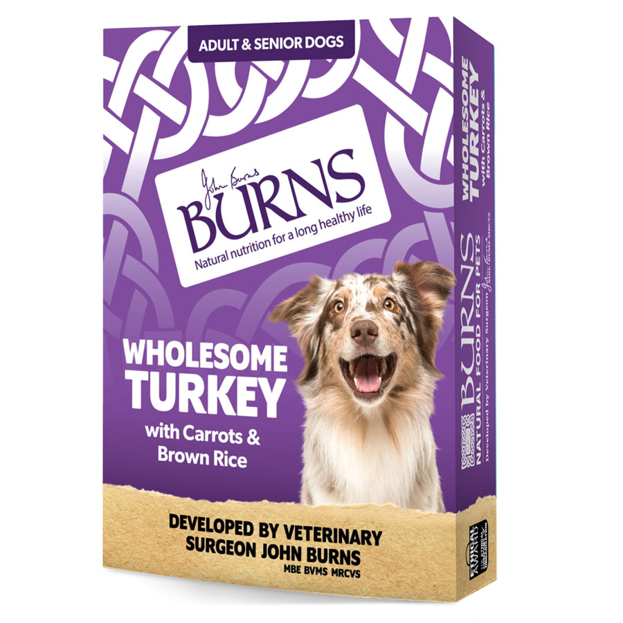 Burns Wholesome Turkey Single 395g