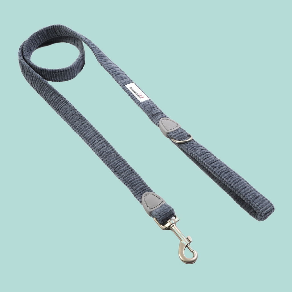 Doodlebone Dinky Dog Lead Blue Cord