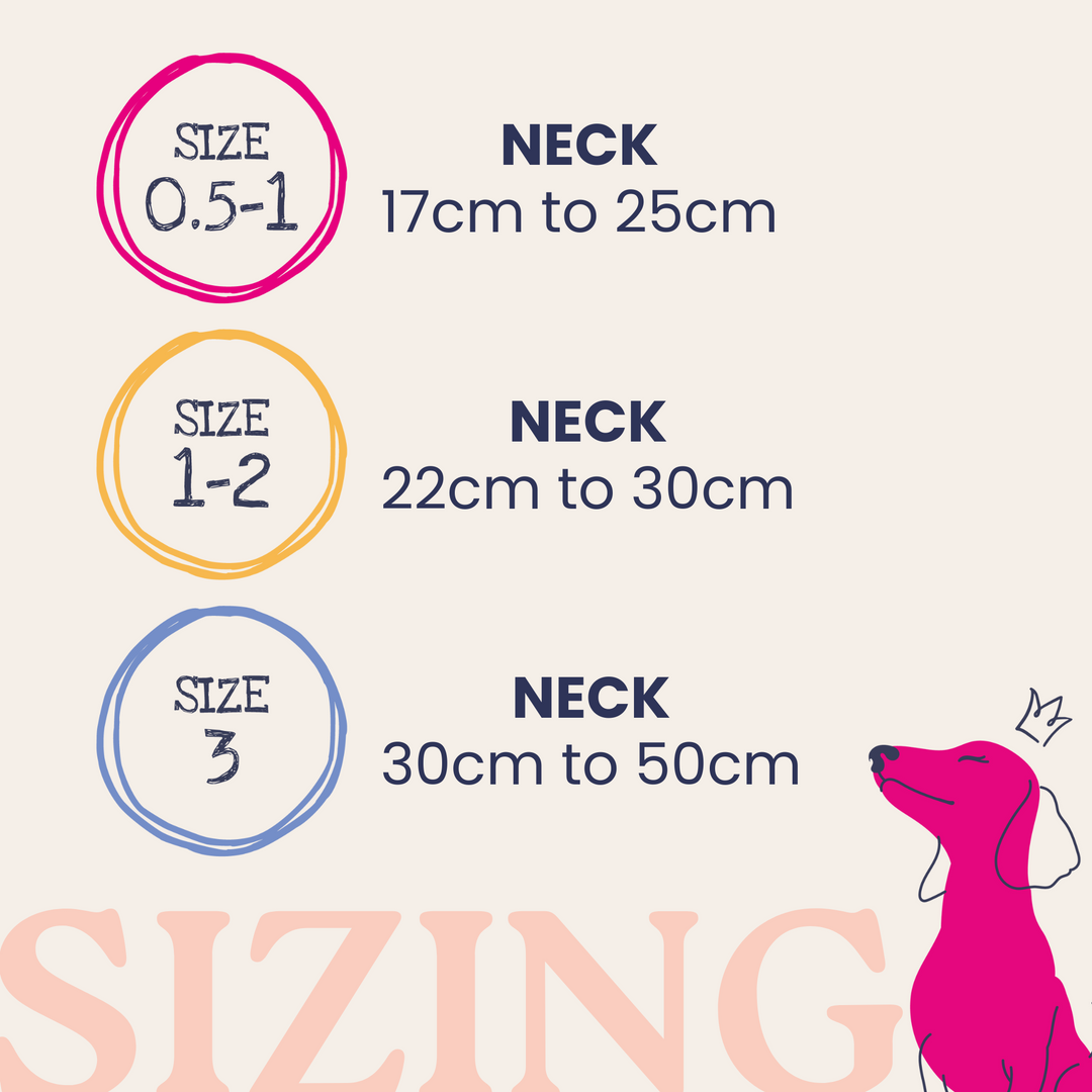 Doodlebone Dinky Collar Size 1-2 Blue Cord