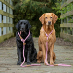 Slim Slip Lead Dusky Pink