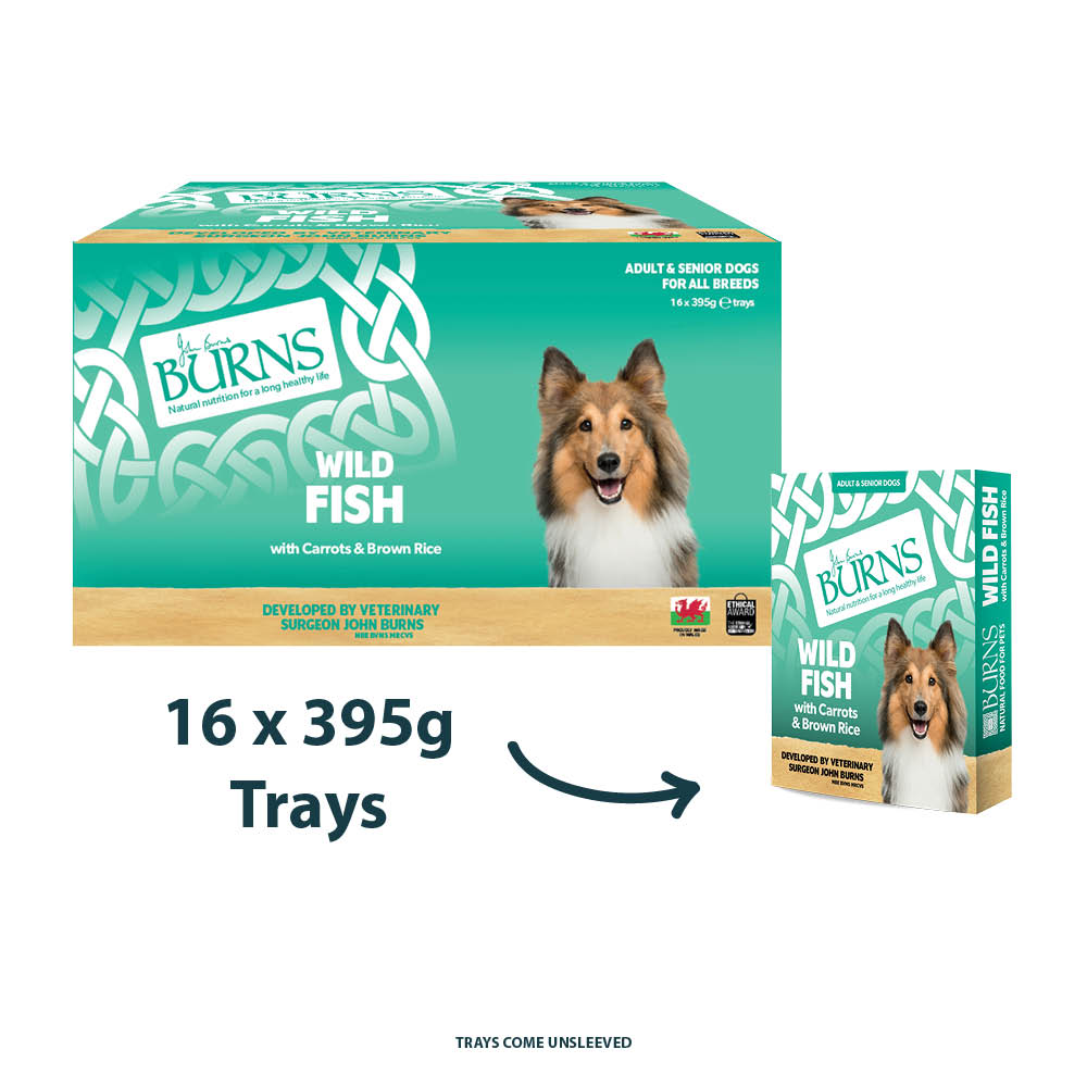 Burns Penlan Tray Range Fish 395g