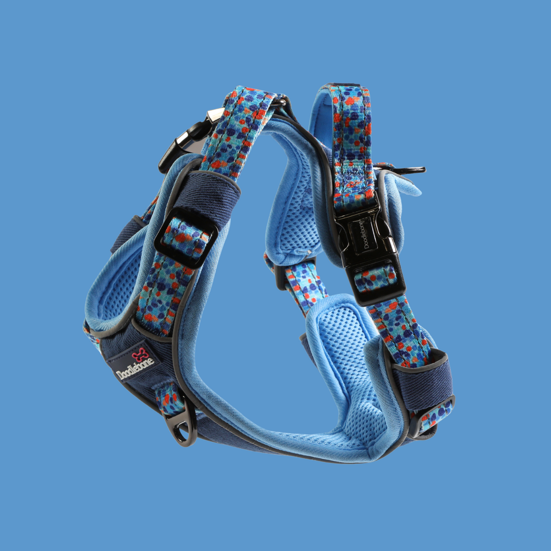 Doodlebone With Me Harness 4-7