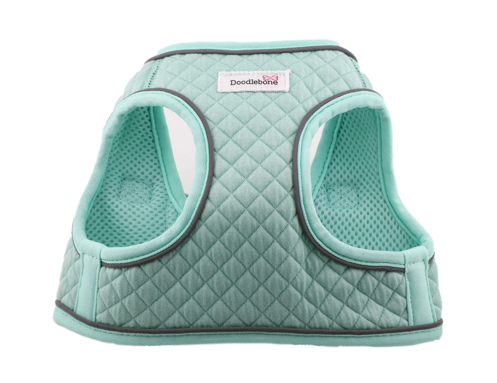 Doodlebone Snappy Size 3 Mint Quilt