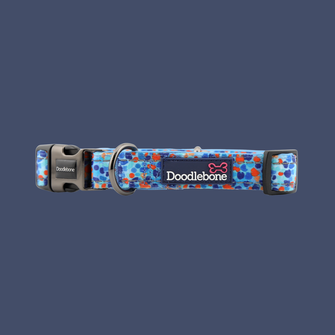 Doodlebone With Me Lead Reef