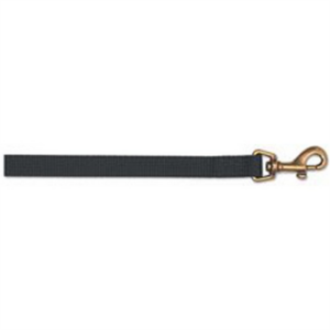 Ancol Nylon Lead Raspberry 12mmx1m