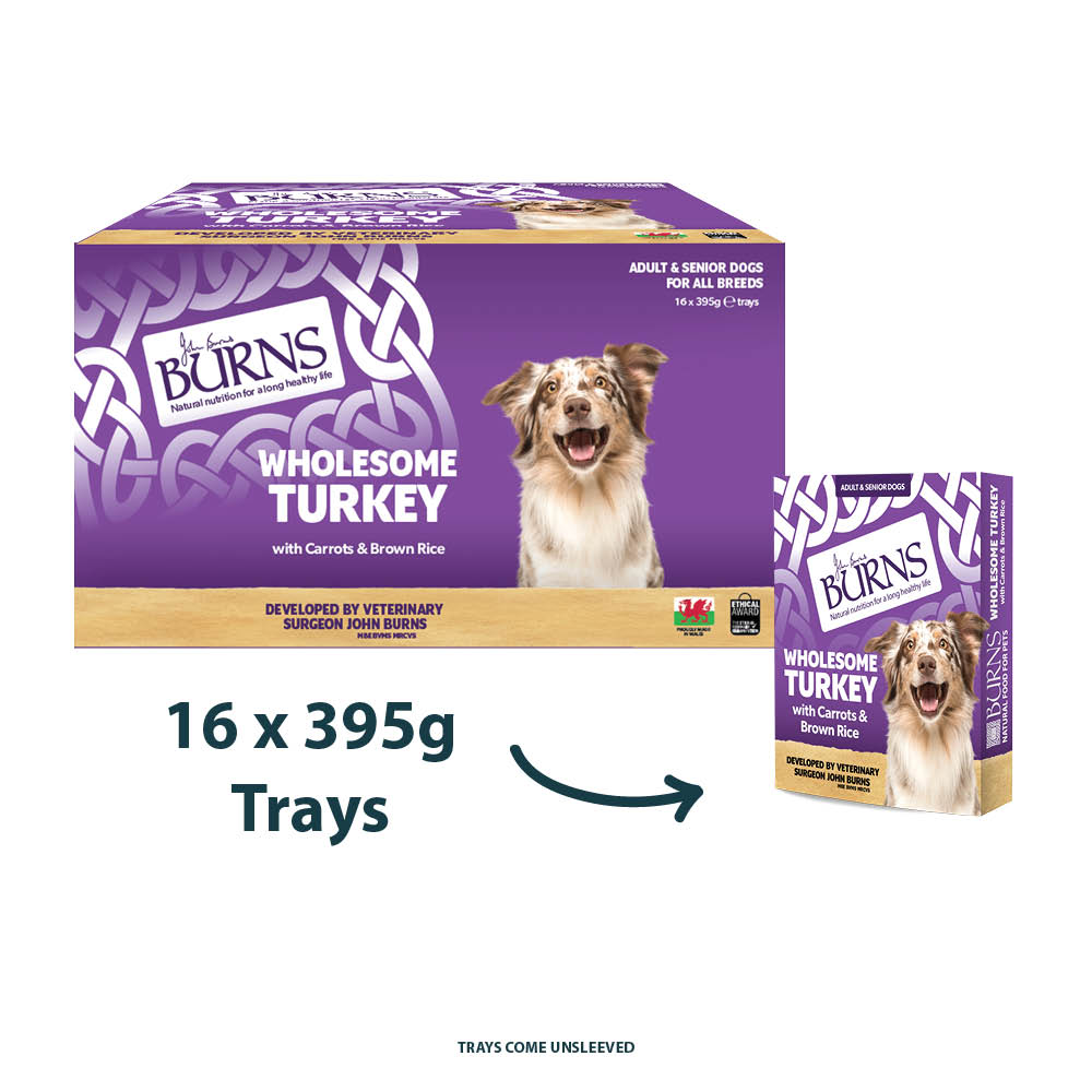 Burns Wholesome Turkey Single 395g