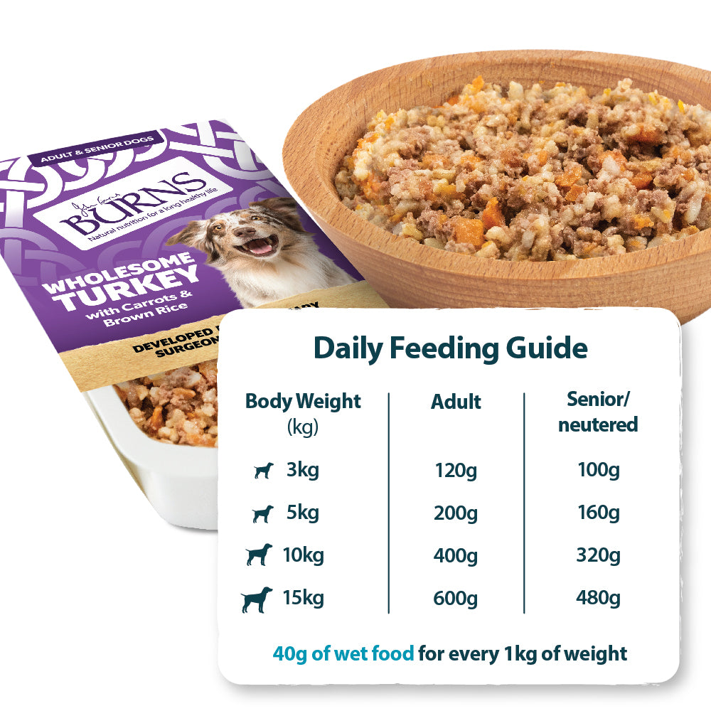 Burns Wholesome Turkey Single 395g