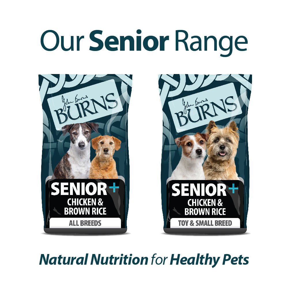 Burns Senior + Chicken & Brown Rice (toy & small breed) 2KG