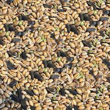Colonels F1 Wild Bird Food 3Kg