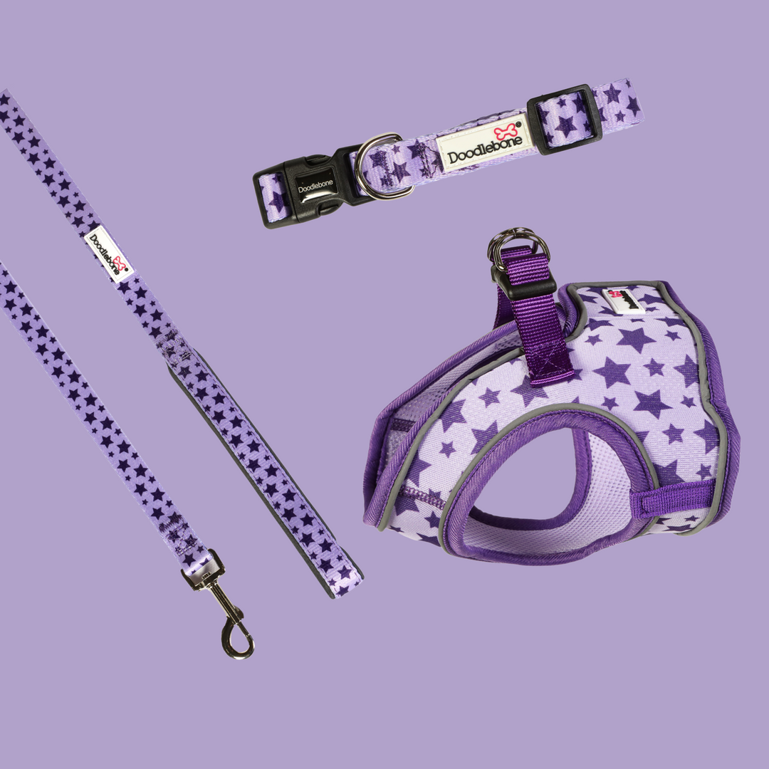 Doodlebone Lead 25mm Violet Stars