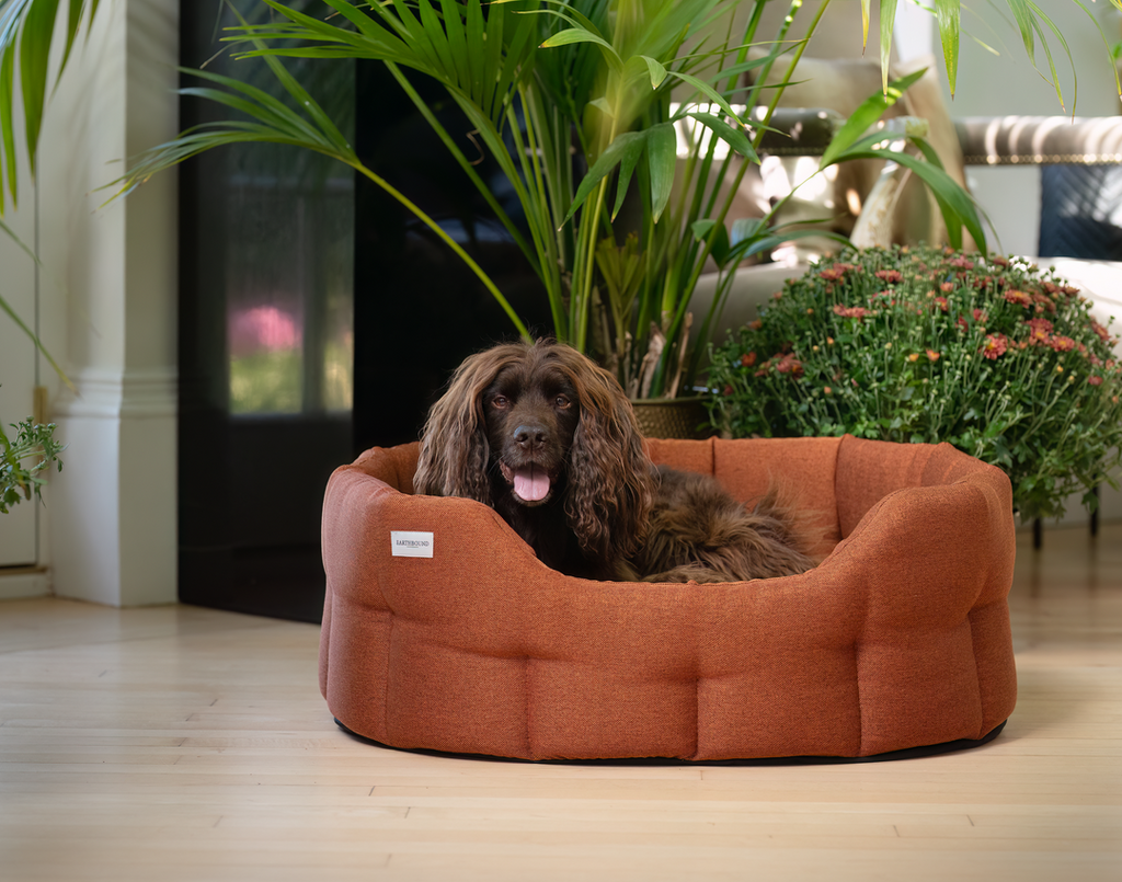 Earthbound Classic Camden Bed Burnt Orange Large
