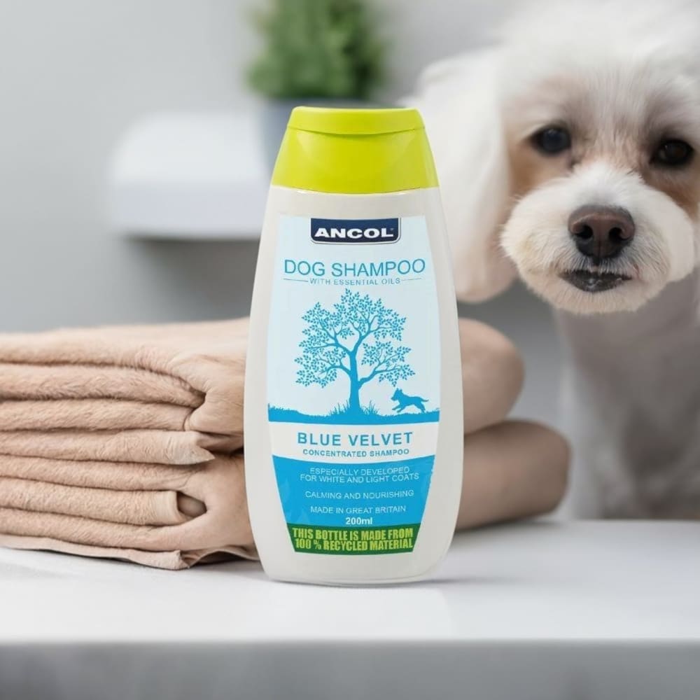 Ancol Puppy Shampoo 200ml