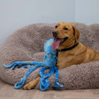 Cuddle Phil the Kraken Dog Toy