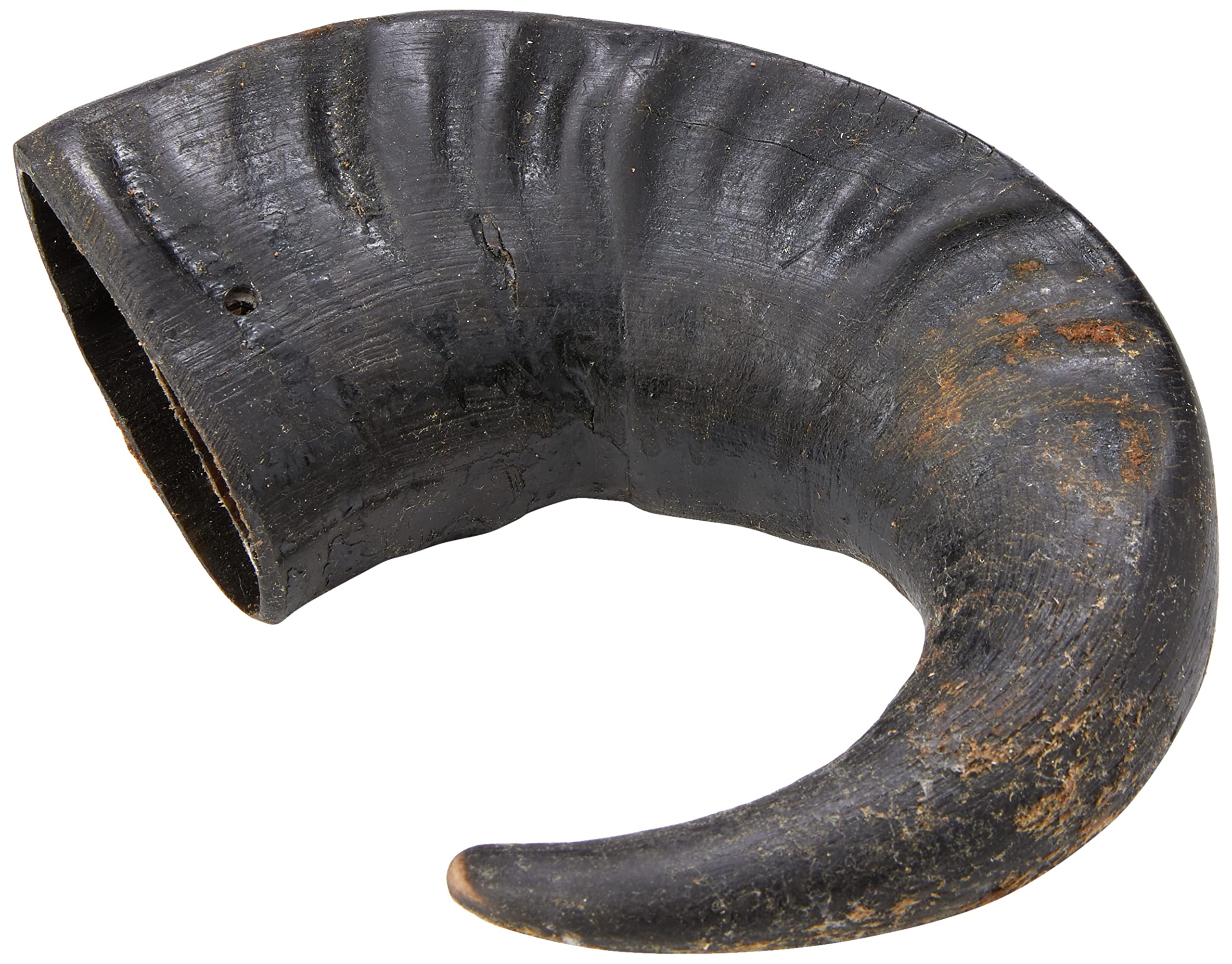 Hollings Buffalo Horn Jumbo