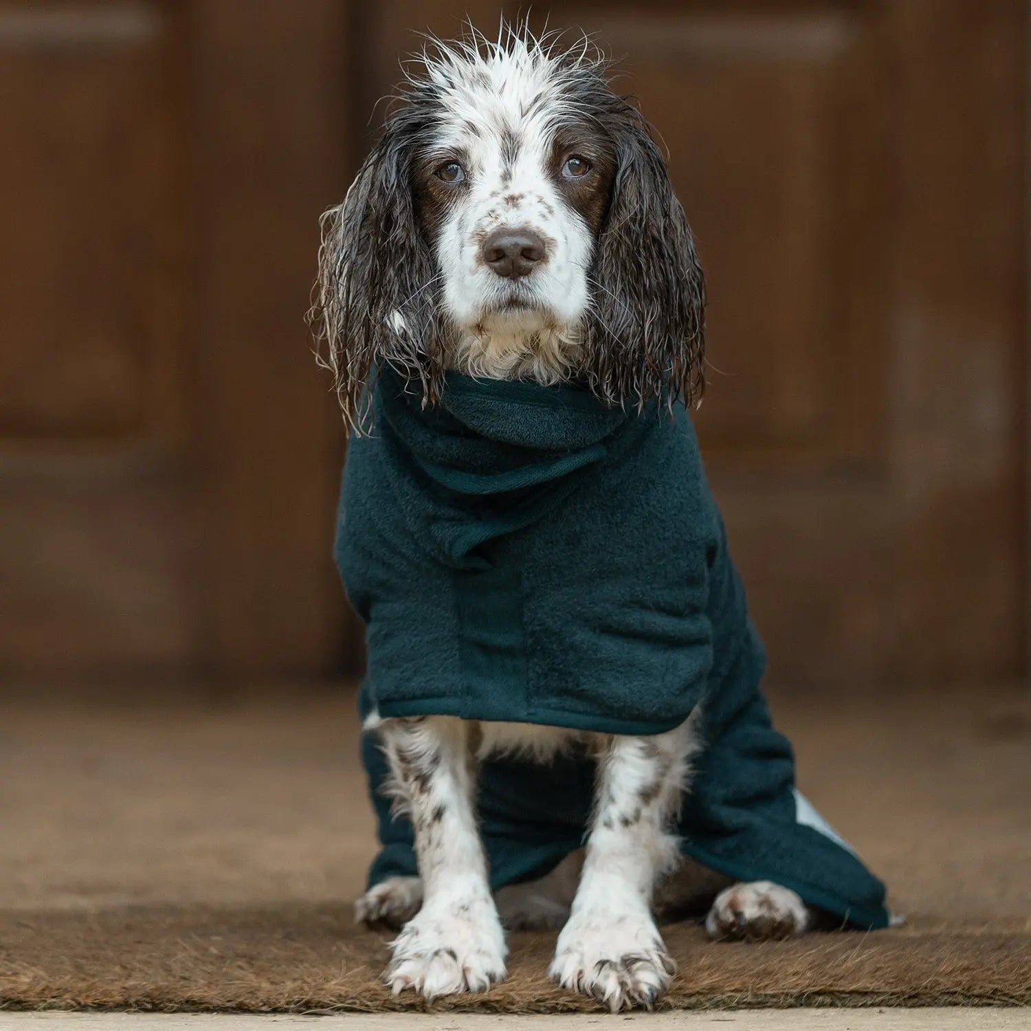Ruff And Tumble Coat Xs Forest Green