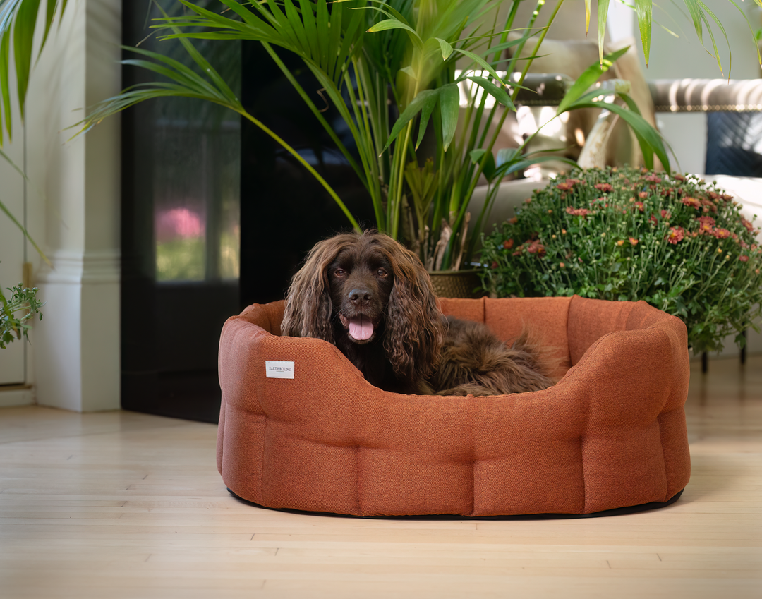 Earthbound Round Camden Burnt Orange Medium