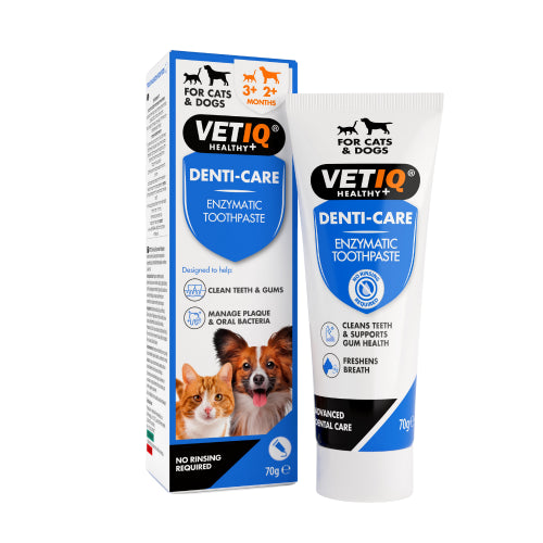 Vetiq Denti Care Toothpaste