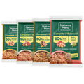 Natures Menu Frozen Brick Multi Pack 12 x 300g