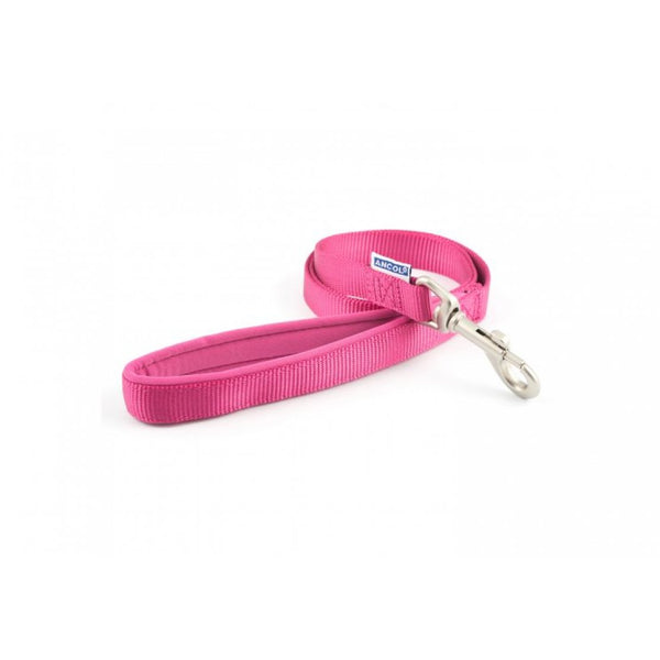 Ancol Nylon Lead Raspberry 12mmx1m