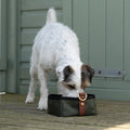 Ruff Tumble travel bowl