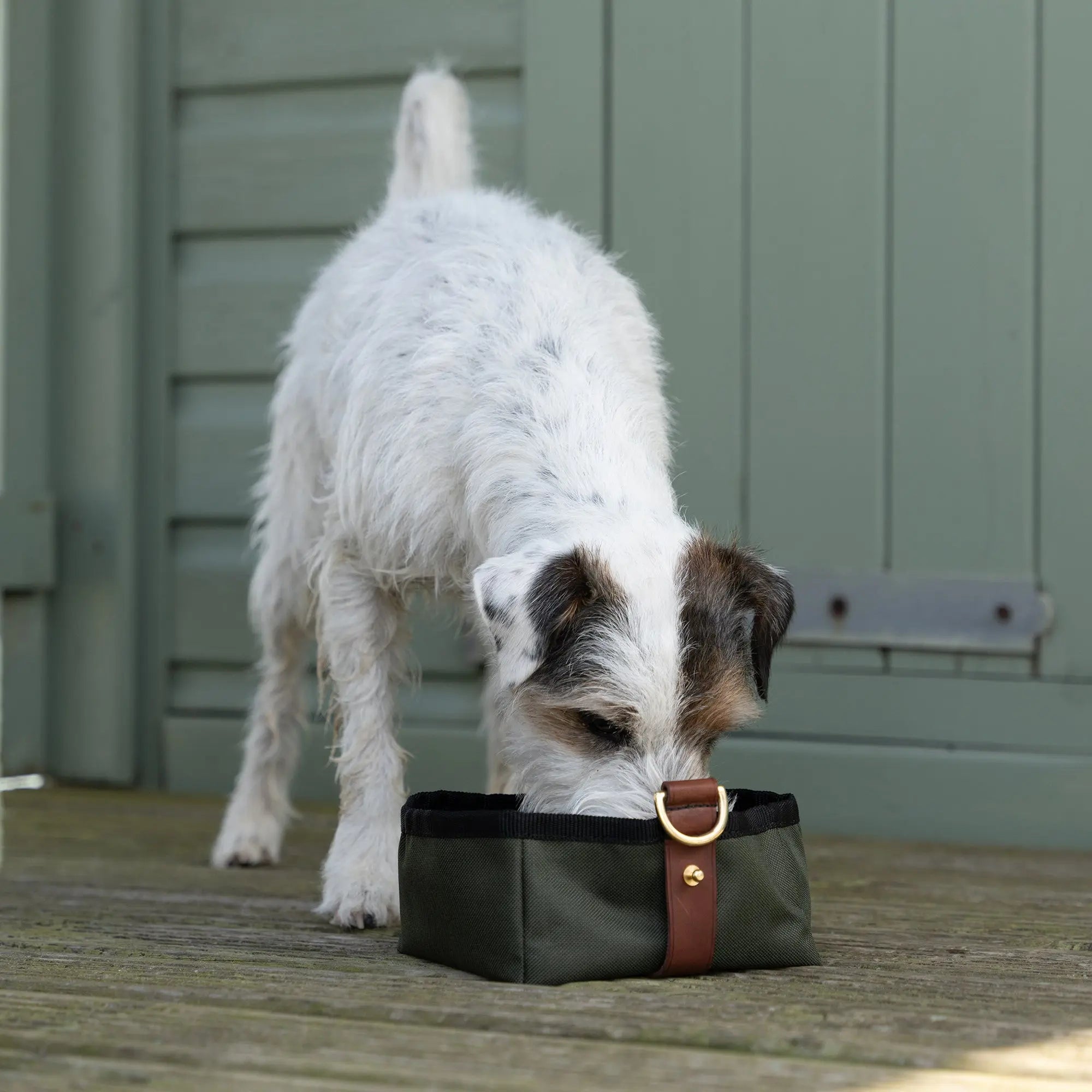 Ruff Tumble travel bowl