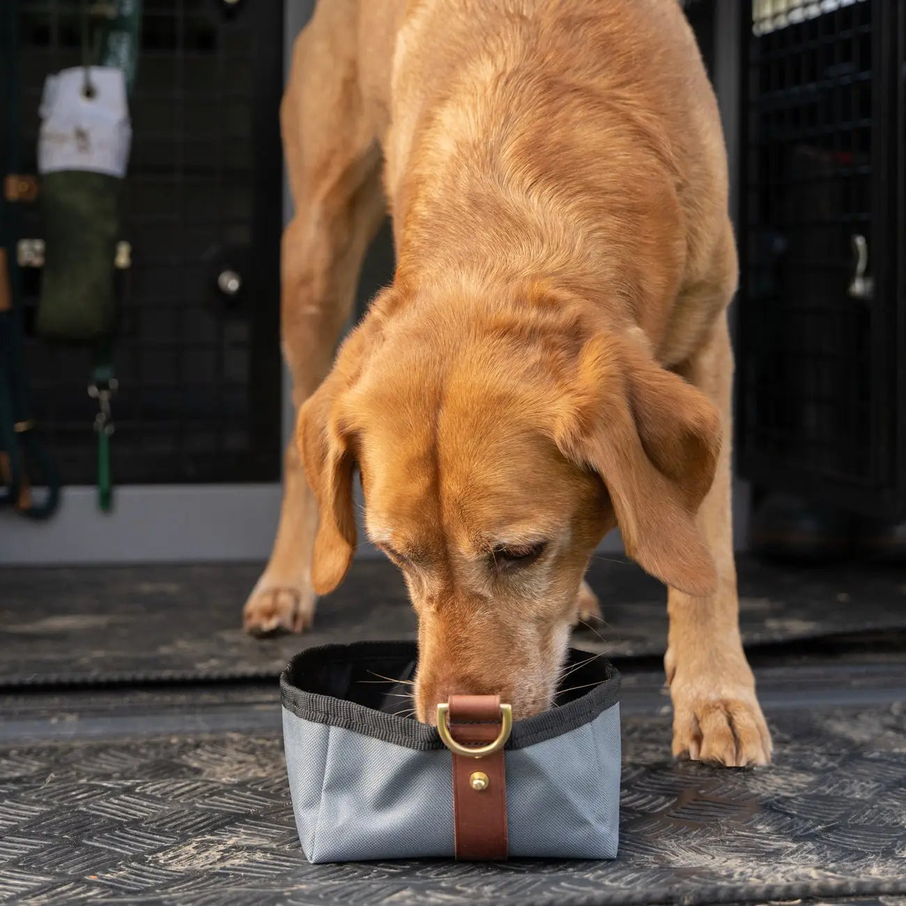Ruff Tumble travel bowl