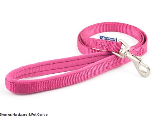 Ancol Nylon Lead Raspberry 25mmx1m
