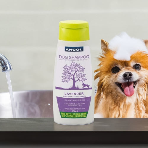 Ancol Lavender Dog Shampoo 200ml