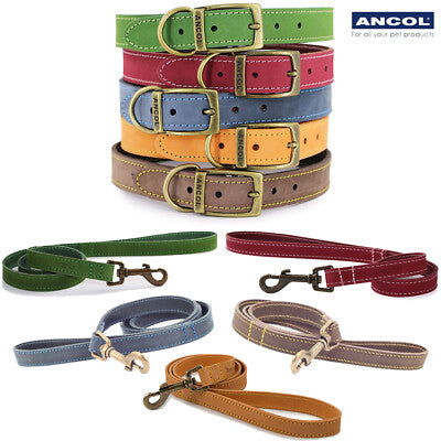 ANCOL Timberwolf Leather Collar Blue Size 1