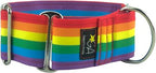 Ancol Nylon Collar Raspbery 40cm