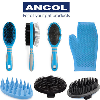 Ancol Ergo Grooming Glove