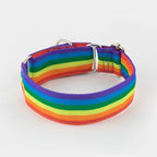 Ancol Nylon Collar Raspbery 40cm