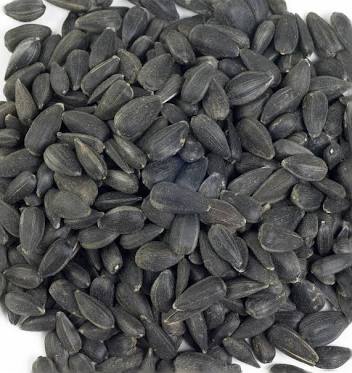 Colonels Black Sunflower 2Kg