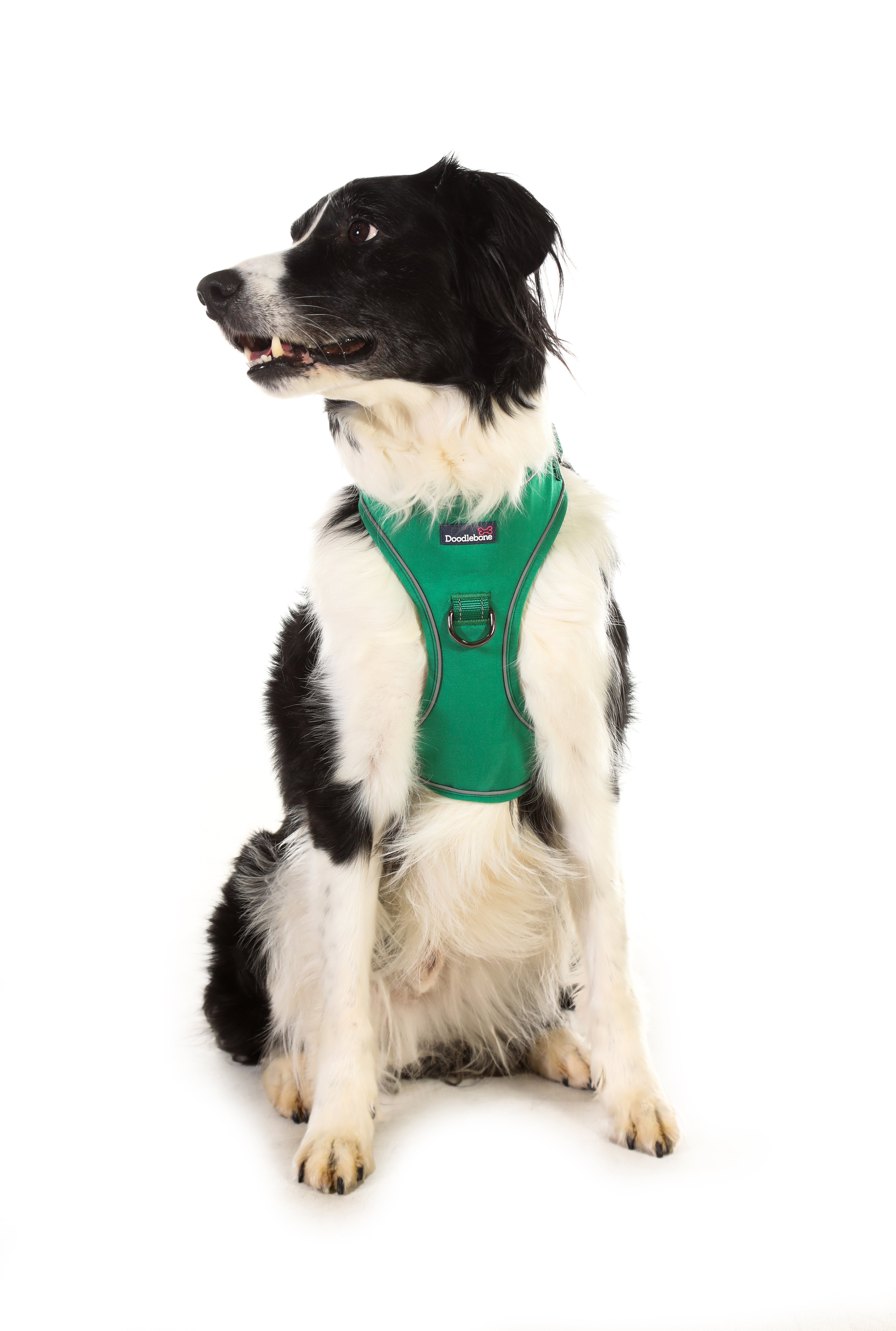 Doodlebone With Me Harness 4-7